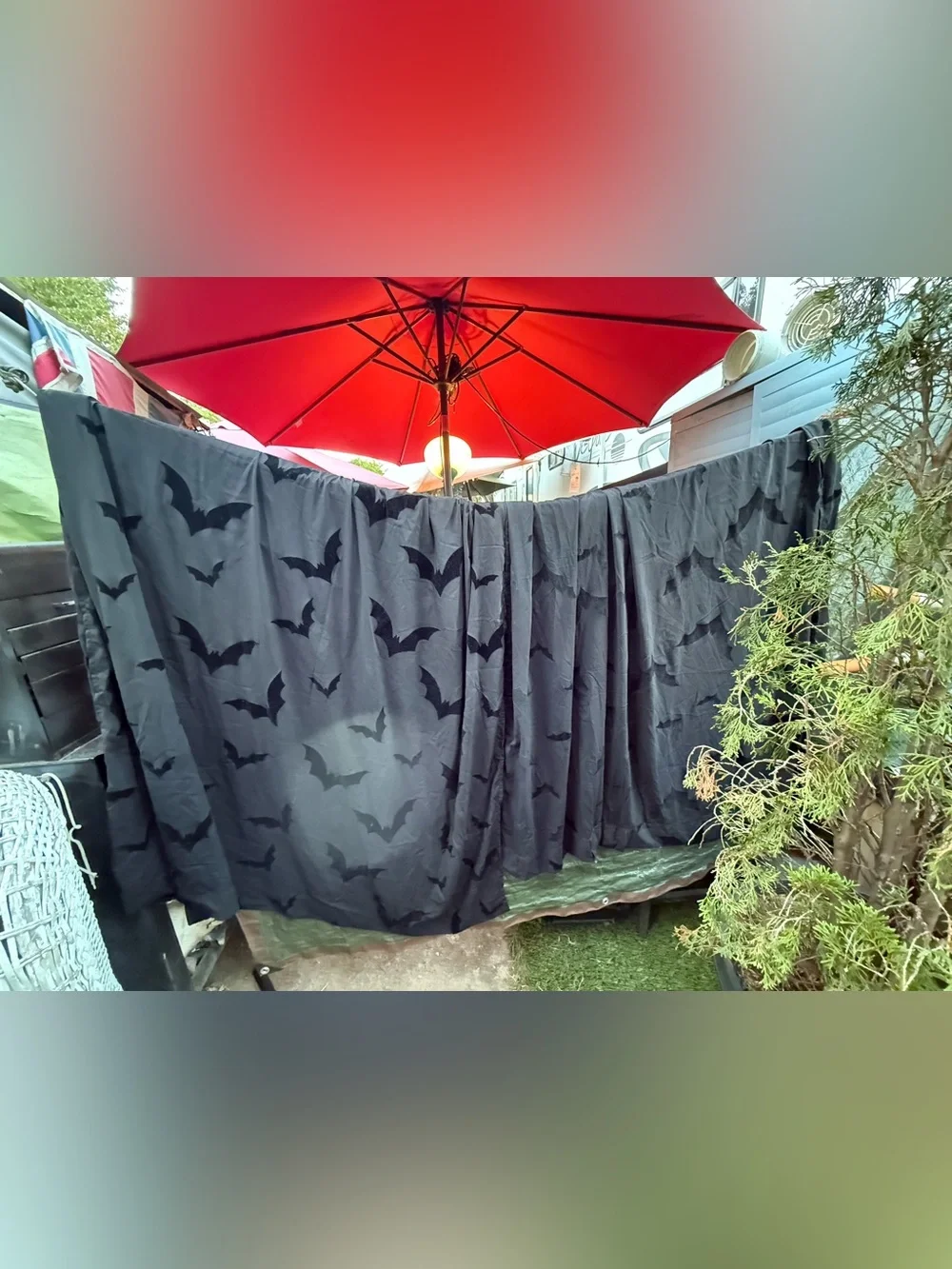 VHTF 2 deadstock 2 panels sheer velvet bat curtains goth witchy bats halloween